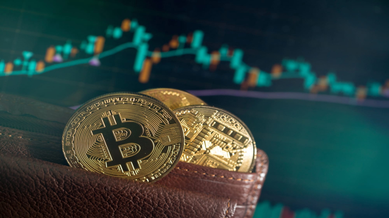 Depositphotos_182702950_L-1 (1)